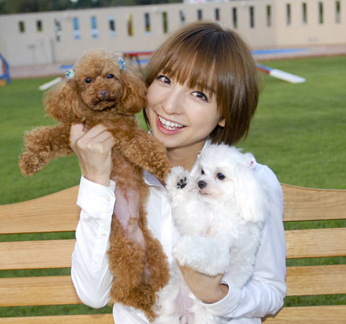 AKB48の篠田麻里子。愛犬パチャ&ムッシュと共に
(C) 2010「犬とあなたの物語」製作委員会