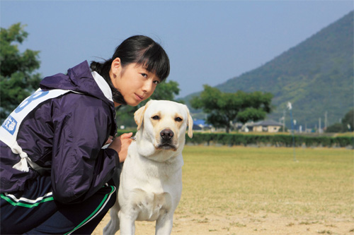 映画『きな子〜見習い警察犬の物語〜』より
(C) 2010「きな子〜見習い警察犬の物語〜」製作委員会
