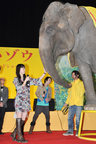 ゾウに触れる宮崎あおい