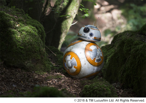 緊急来日が決まった人気キャラのBB-8
(C) 2016 & TM Lucasfilm Ltd. All Rights Reserved.