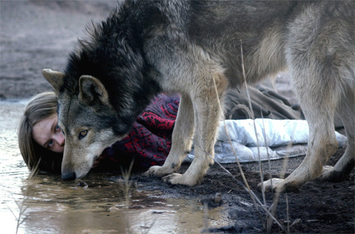 『ワイルド わたしの中の獣』
(C) 2014 Heimatfilm GmbH + Co KG