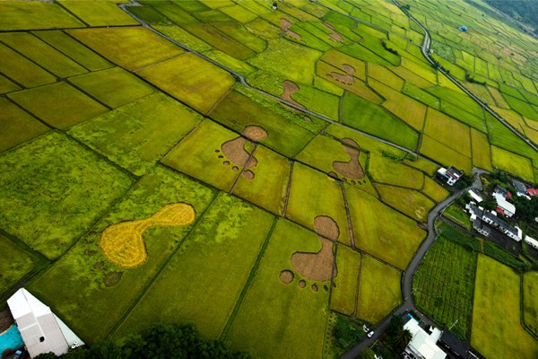 『天空からの招待状』場面写真
(C) Taiwan Aerial Imaging, INC.