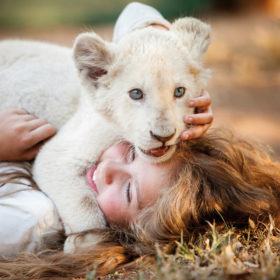 ホワイトライオンの赤ちゃんが可愛すぎる！CG抜きで撮影に3年をかけた少女との交流