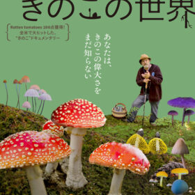 『素晴らしき、きのこの世界』ポスタービジュアル （C）2018,Fantastic Fungi,LLC