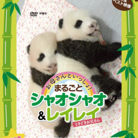 癒やし200%！ 上野動物園のパンダ『おかあさんといっしょ！ ときどきお父さん』