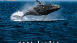 平凡な公務員が鹿児島県徳之島で巨大なクジラに憧れて…!? 『クジラの島』ふるさと映画祭で12月上映へ