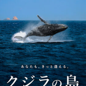 平凡な公務員が鹿児島県徳之島で巨大なクジラに憧れて…!? 『クジラの島』ふるさと映画祭で12月上映へ