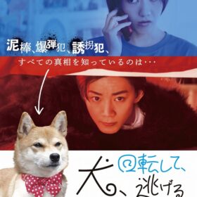 犬、回転して、逃げる