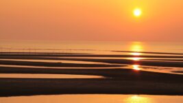 友だち同士やカップルで訪れたい！ 干潟の縞模様と夕陽が織りなす絶景スポット・真玉海岸が一望できる「恋叶♡ゆうひテラス」
