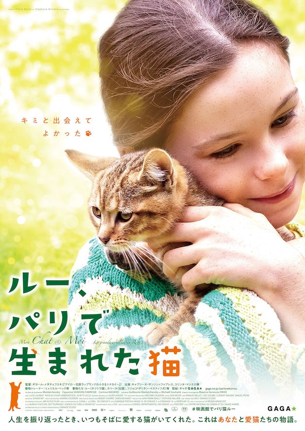 『ルー、パリで生まれた猫』