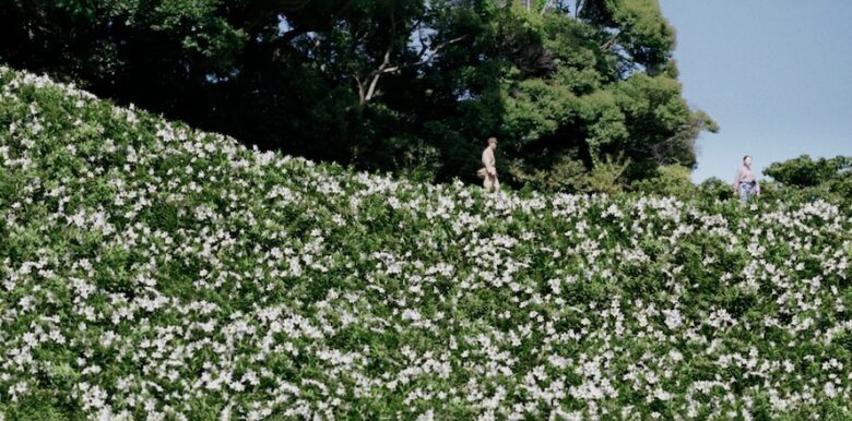 『あの花が咲く丘で、君とまた出会えたら。』