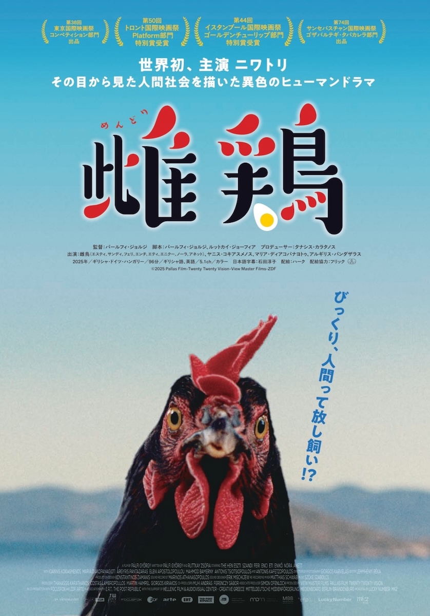 『雌鶏』