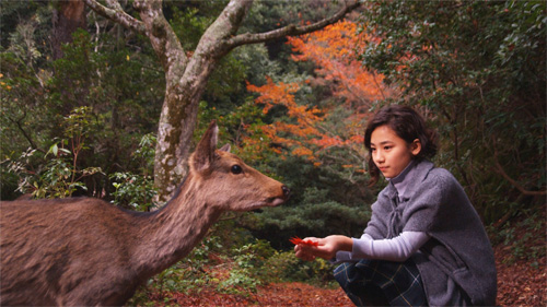 偶然の珍事でやってきた鹿に、自然に手を差しのべる内田伽羅