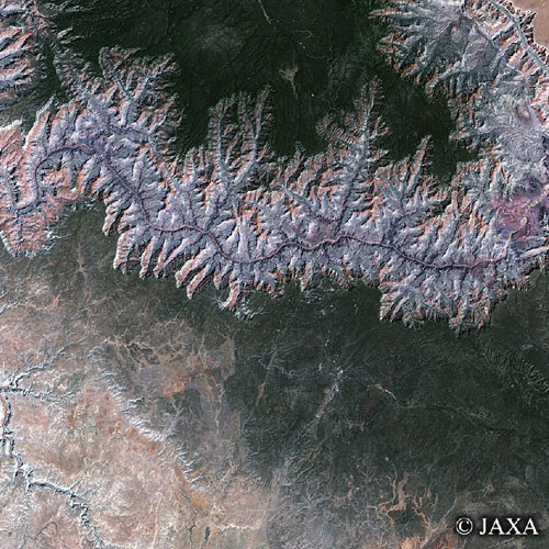 グランドキャニオン。地上から眺めると、長年の浸食で切り立った断崖絶壁の岩山が幾つも広がっている大渓谷だが、地上700kmの宇宙から眺めると、コロラド川が、まるで大きく1本に繋がった大動脈や背骨のように、脈々と地上に広がって出来ているのが分かる。
(C) 2010 科学技術振興機構（JST）日本科学未来館・TBSビジョン