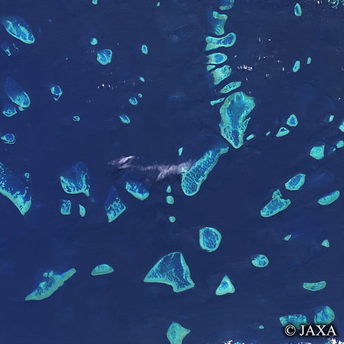 顕微鏡の拡大写真のように微生物の様なものが点在しているのはグレート・バリア・リーフ。澄み渡るオーストラリアの海上に美しい緑色で縁取られたサンゴ礁の大小自在な形は、トルコ石のように美しい輝きを放っている。
(C) 2010 科学技術振興機構（JST）日本科学未来館・TBSビジョン
