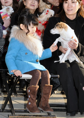 共演した犬・のあと戯れる芦田愛菜