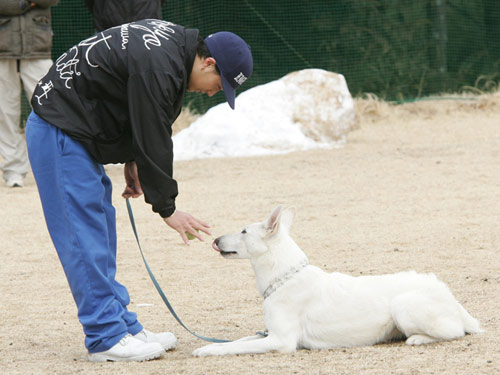 訓練中の市原隼人とシロ