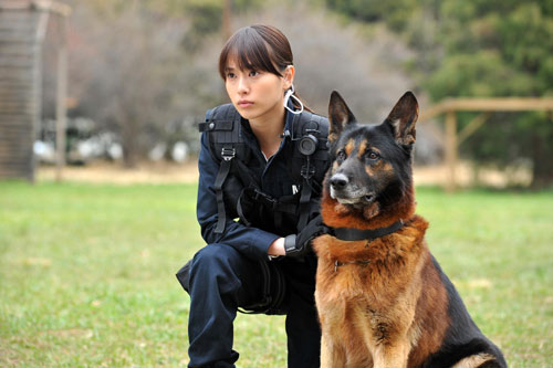 戸田恵梨香が『DOG×POLICE』で警備犬のスゴ腕訓練士役に！