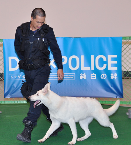 市原隼人と相棒のシロ