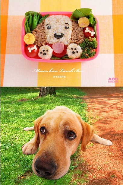 上がまさお君のキャラ弁、下がダメ犬まさお君
(C) Copyright 2012 ABC Cooking Studio Co.,Ltd. All Rights Reserved.
(C) 2012「LOVE まさお君が行く！」製作委員会