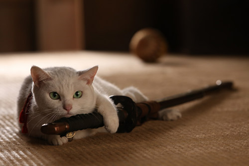 【2014年の期待作4】猫好きには外せない『猫侍』から賛否両論の『ルパン三世』まで！