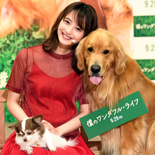 佐々木希「毎日、可愛さが増す」と“親バカ”ならぬ“犬バカ”ぶり披露