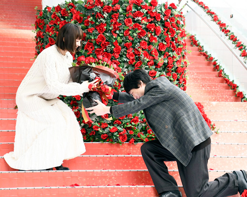 綾瀬はるかに薔薇の花束を渡す坂口健太郎