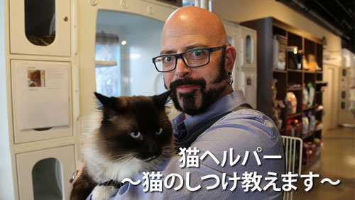 『猫ヘルパー 〜猫のしつけ教えます〜』 
(C)Discovery Communications 