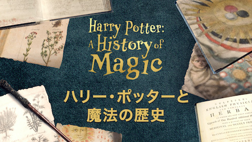 『ハリー･ポッターと魔法の歴史」Huluで配信中』
(C)BBC 2017