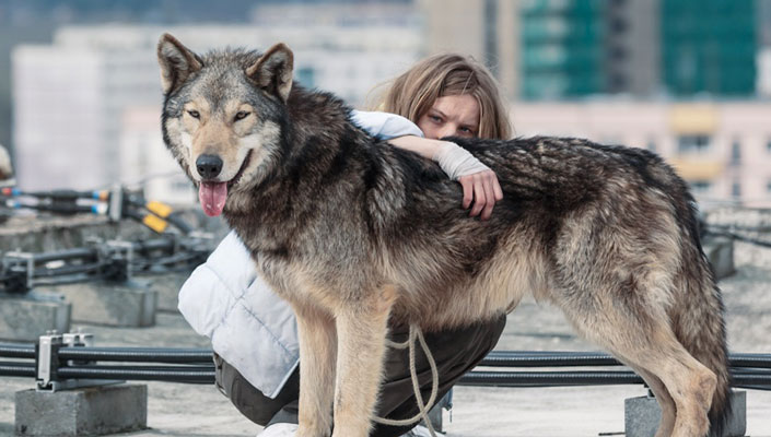 『ワイルド わたしの中の獣』ニコレッテ・クレビッツ監督インタビュー