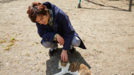 北村匠海が猫とたわむれる！ 映画 『さくら』メイキングカット公開