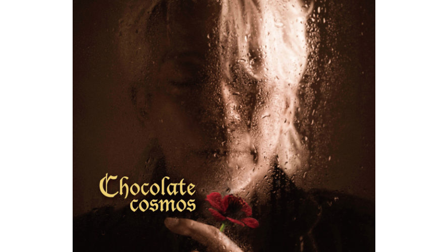 玉置浩二 / Chocolate cosmos LP 玉置浩二 ニューアルバム Chocolate