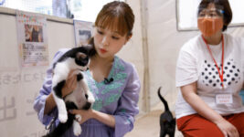大原櫻子、保護犬・保護猫について語る「一生一緒にいる覚悟を決めないと」