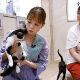 大原櫻子、保護犬・保護猫について語る「一生一緒にいる覚悟を決めないと」