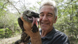 大自然の美しさに息をのむ！ナショジオ・中央アメリカに生きる生物の生態を恒松あゆみの声で堪能