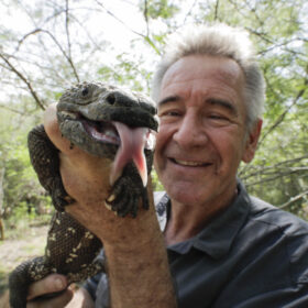 大自然の美しさに息をのむ！ナショジオ・中央アメリカに生きる生物の生態を恒松あゆみの声で堪能