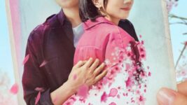 Sexy Zone中島健人が最高傑作目指すネトフリ映画『桜のような僕の恋人』ティザーアート公開
