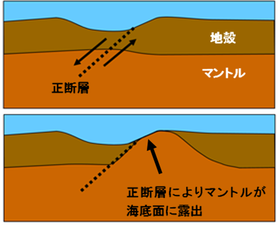 ゴジラメガムリオン