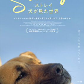 ストレイ 犬が見た世界