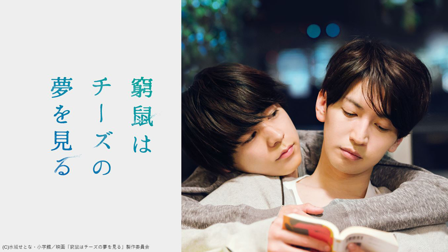 窮鼠はチーズの夢を見る』dTVで配信を開始 | ムビコレ | 映画