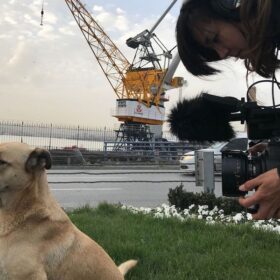 『ストレイ 犬が見た世界』エリザベス・ロー監督 インタビュー