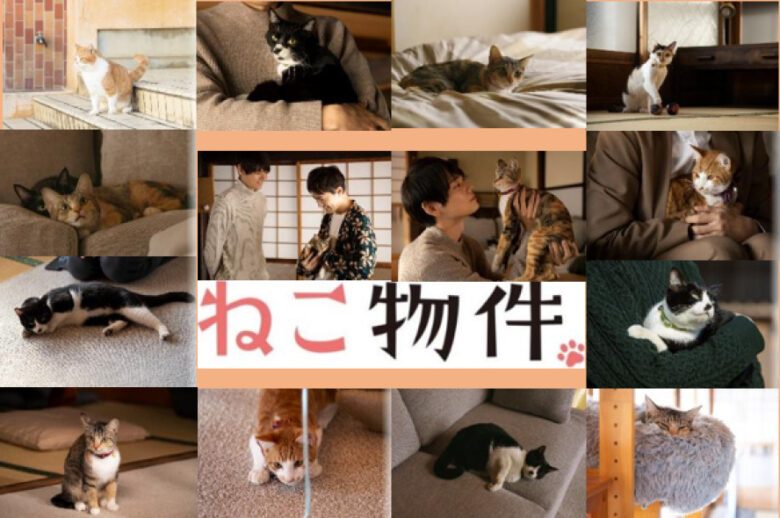 ドラマ『ねこ物件』