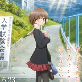 『青春ブタ野郎はおでかけシスターの夢を見ない』