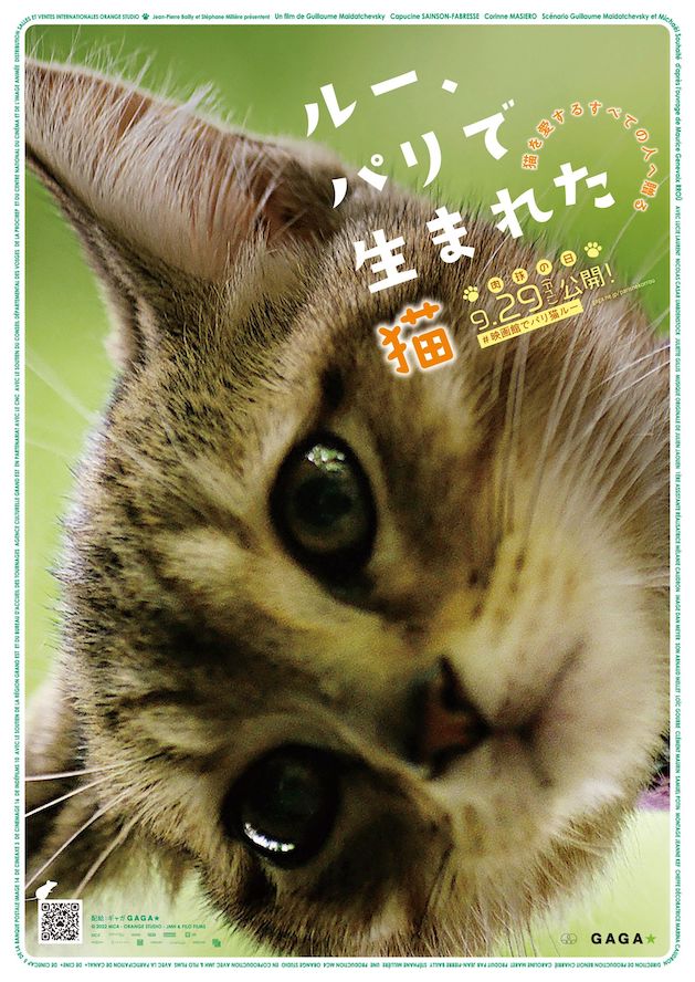 『ルー、パリで生まれた猫』