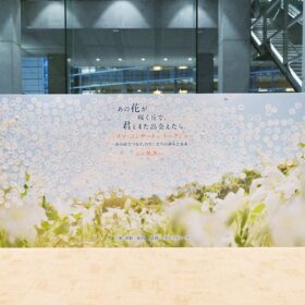 『あの花が咲く丘で、君とまた出会えたら。』