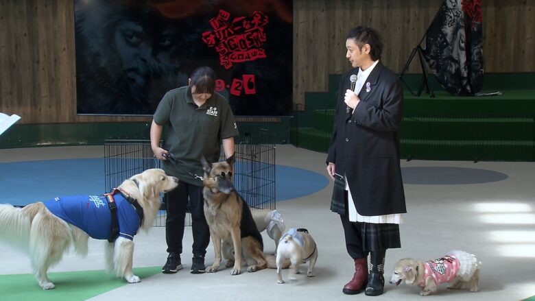 『THE オリバーな犬、(Gosh!!)このヤロウ MOVIE』