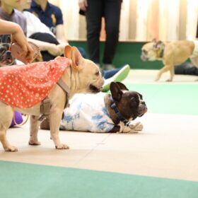 『THE オリバーな犬、(Gosh!!)このヤロウ MOVIE』