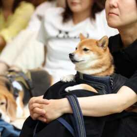 『THE オリバーな犬、(Gosh!!)このヤロウ MOVIE』