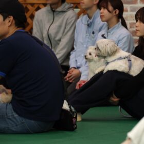 『THE オリバーな犬、(Gosh!!)このヤロウ MOVIE』