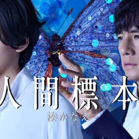 『人間標本』